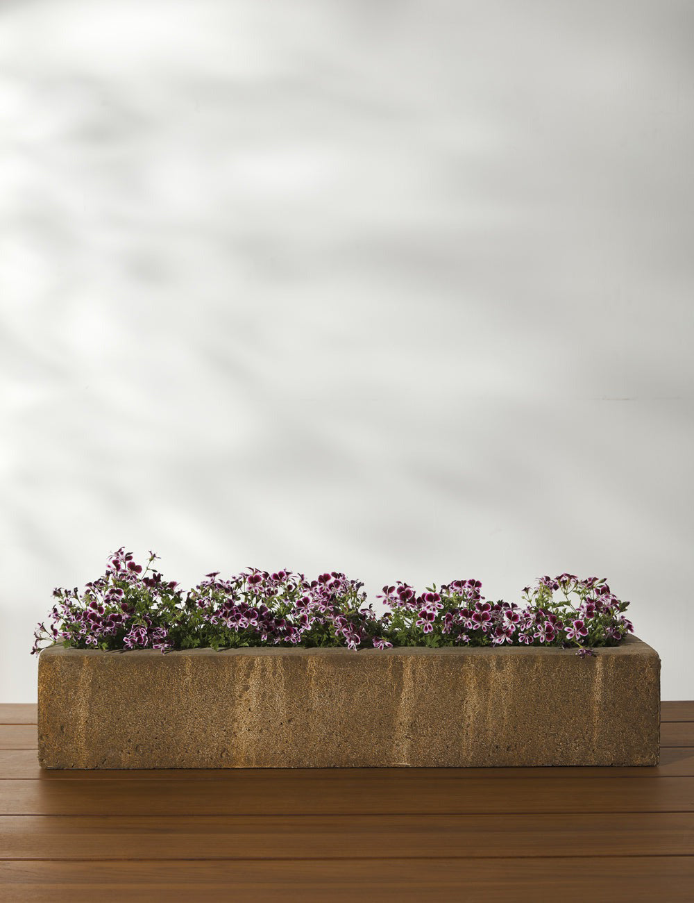 Lulu and Georgia - Basic Element Long Planter by Campania International
