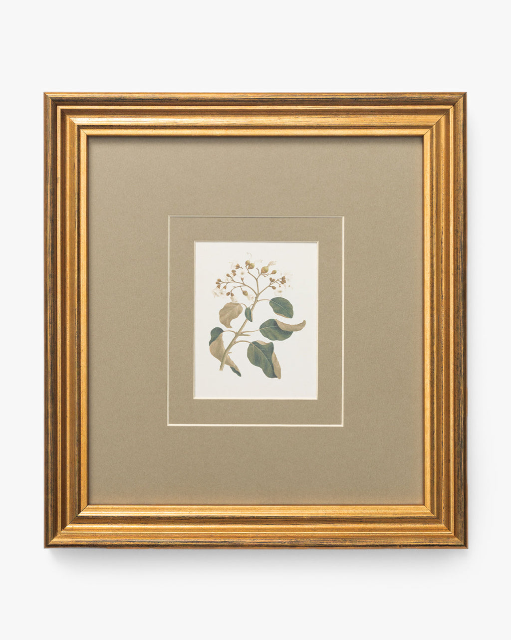 McGee & Co - Blossoming Branch
