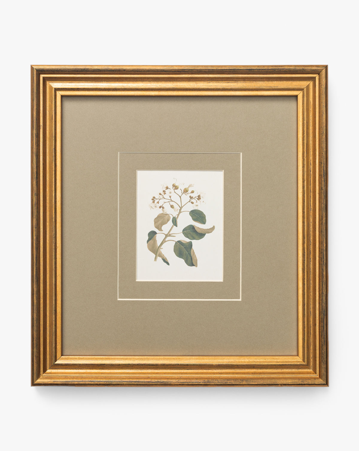 McGee & Co - Blossoming Branch