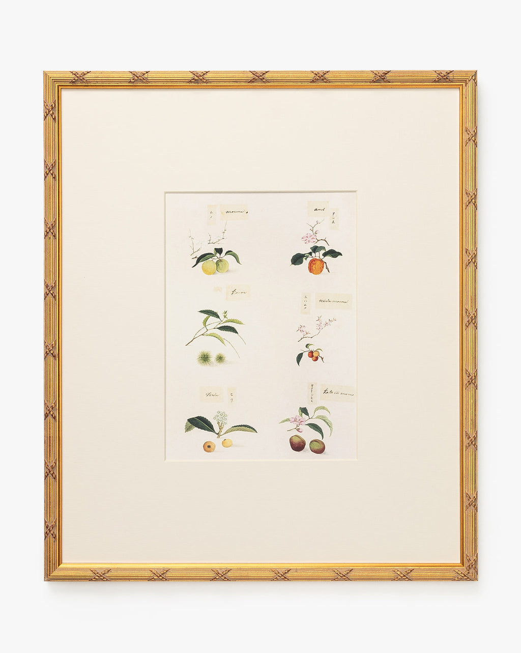 McGee & Co - Botanical Grid 1