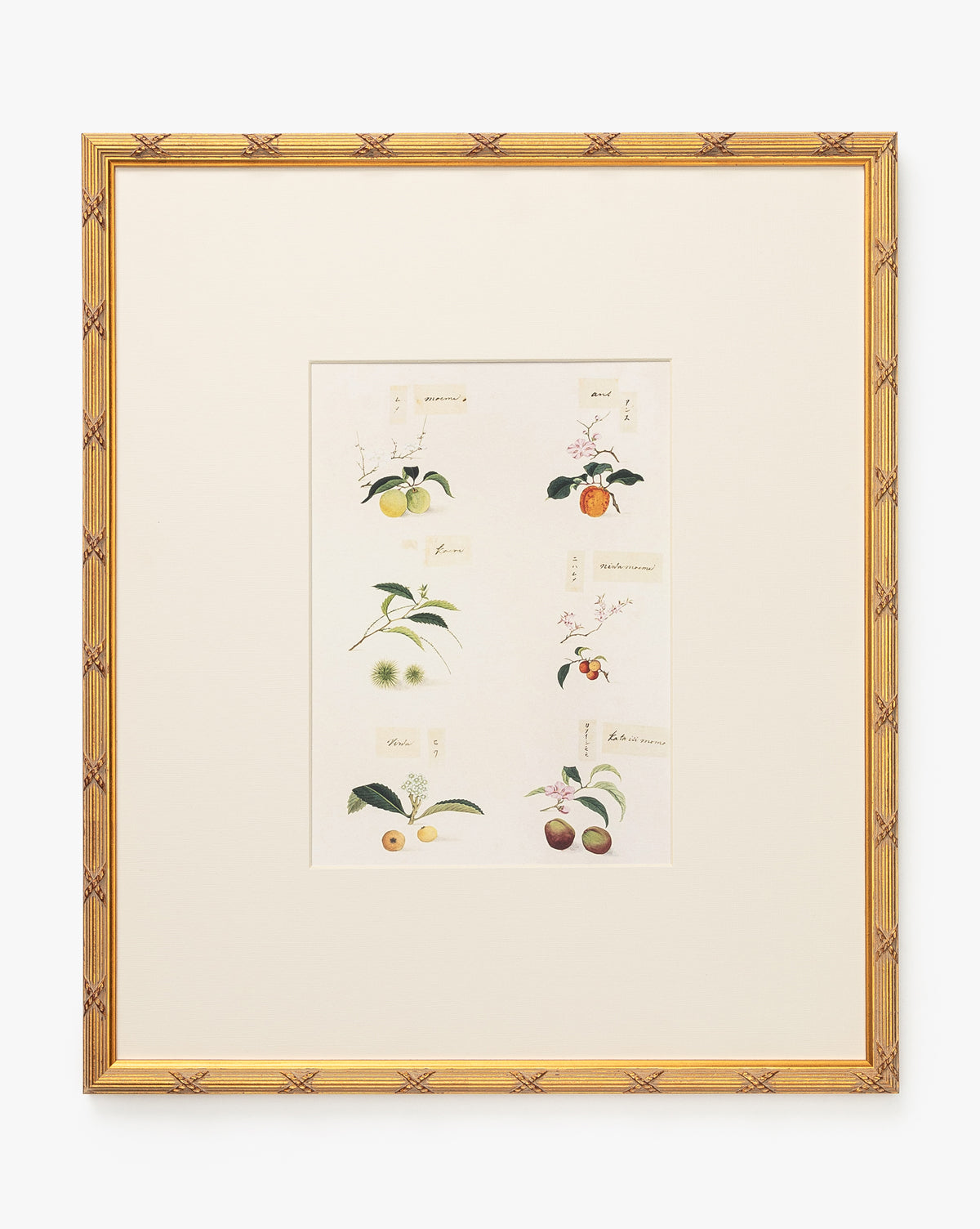 McGee & Co - Botanical Grid 1