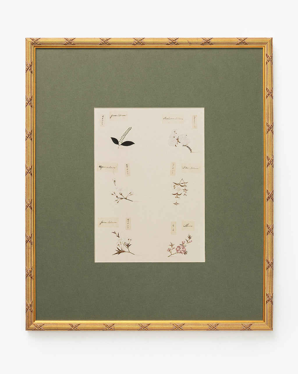 McGee & Co - Botanical Grid 2