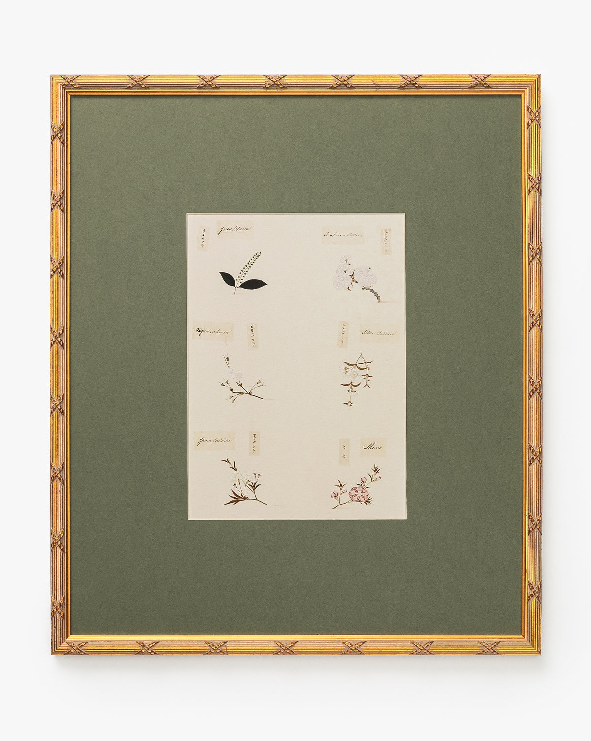 McGee & Co - Botanical Grid 2