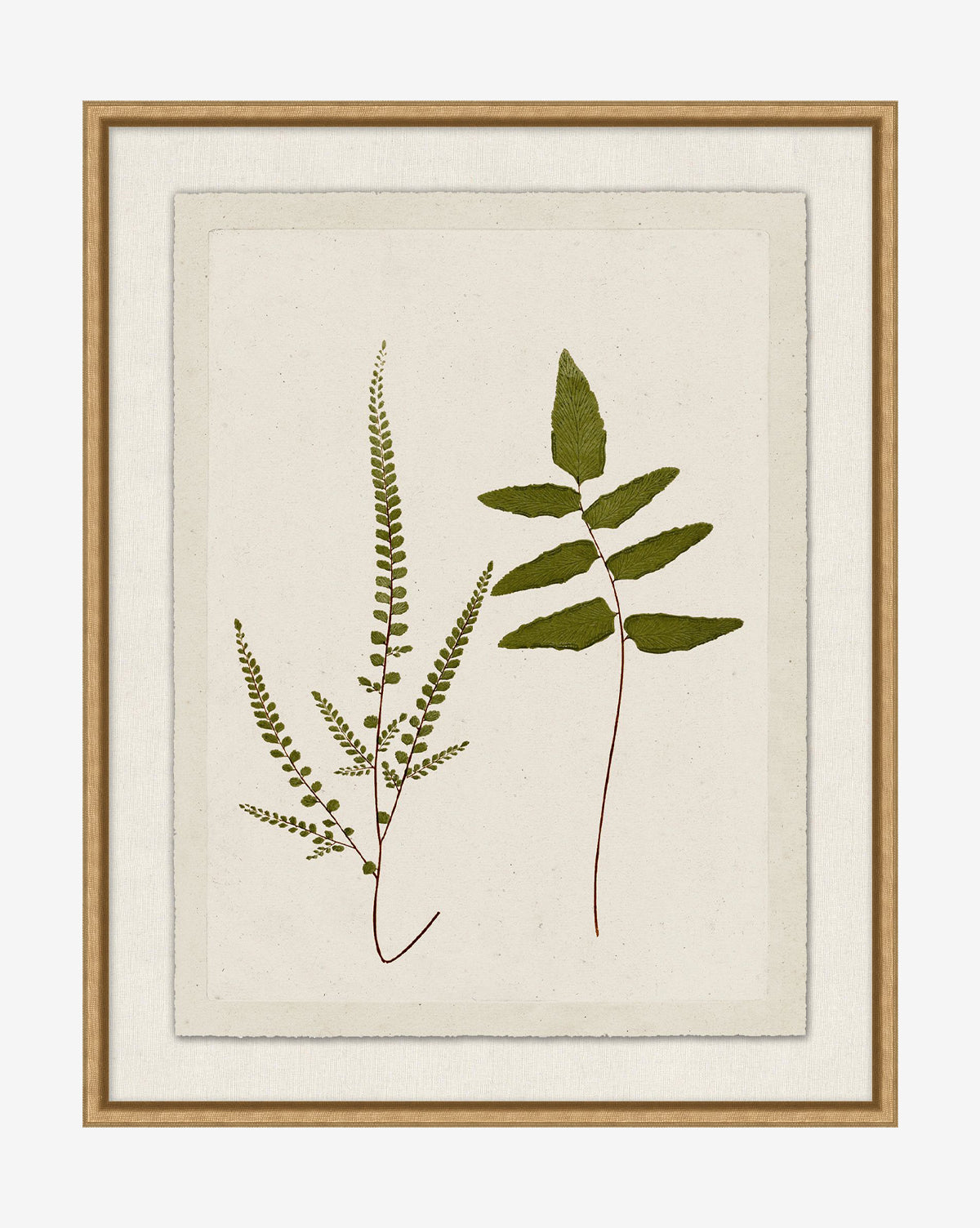 McGee & Co - Botanical Pressings I