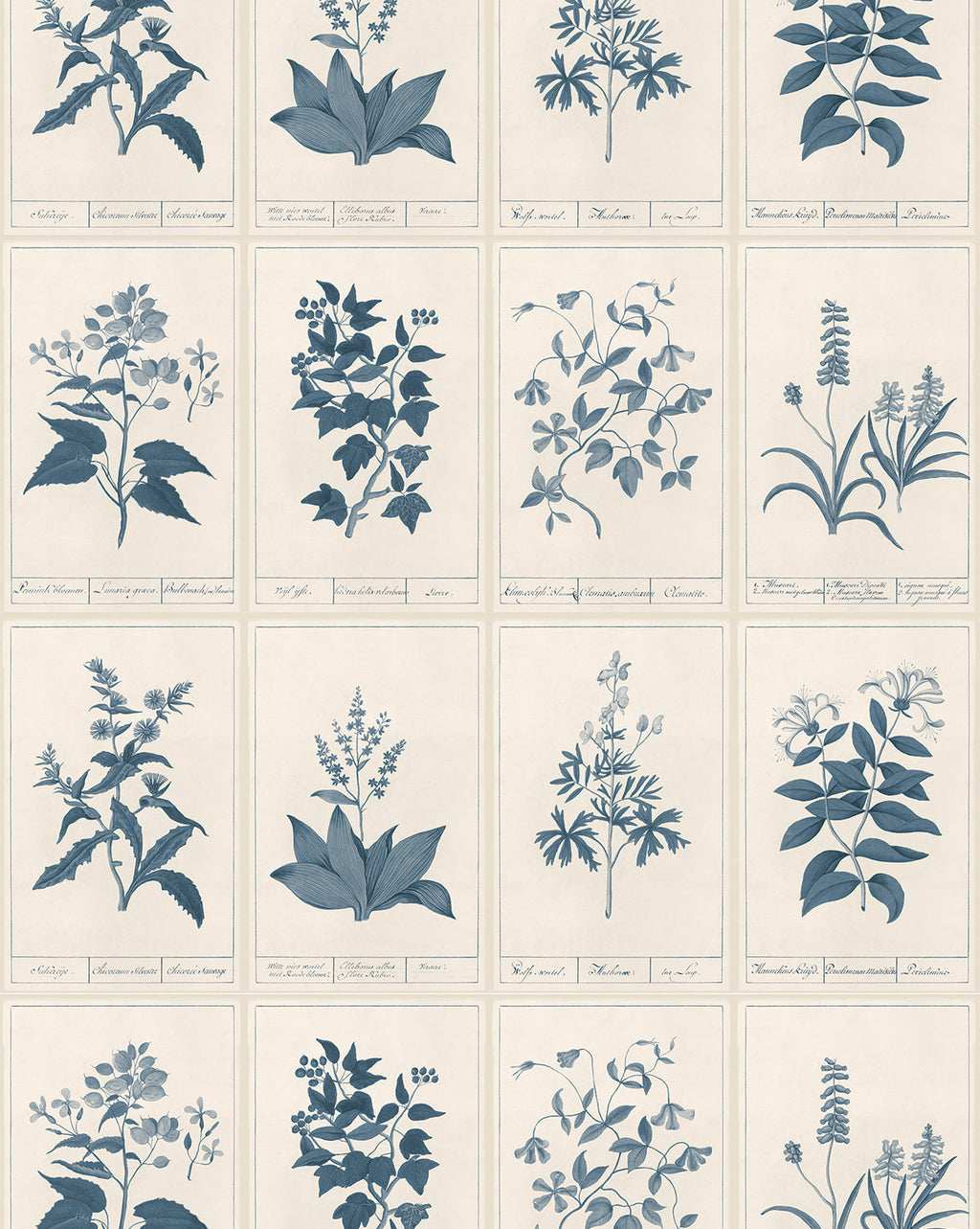 McGee & Co - Botanique Wallpaper