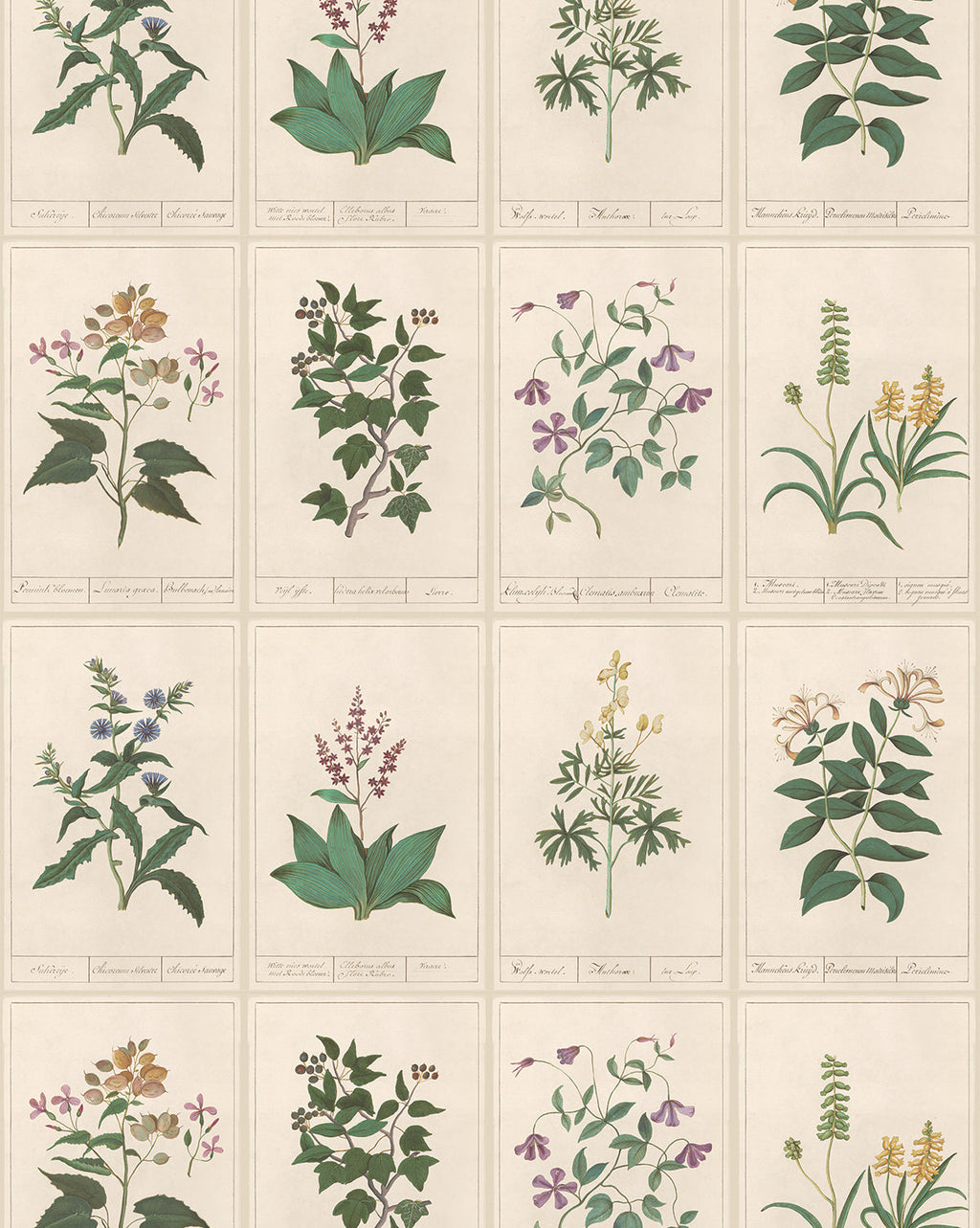 McGee & Co - Botanique Wallpaper