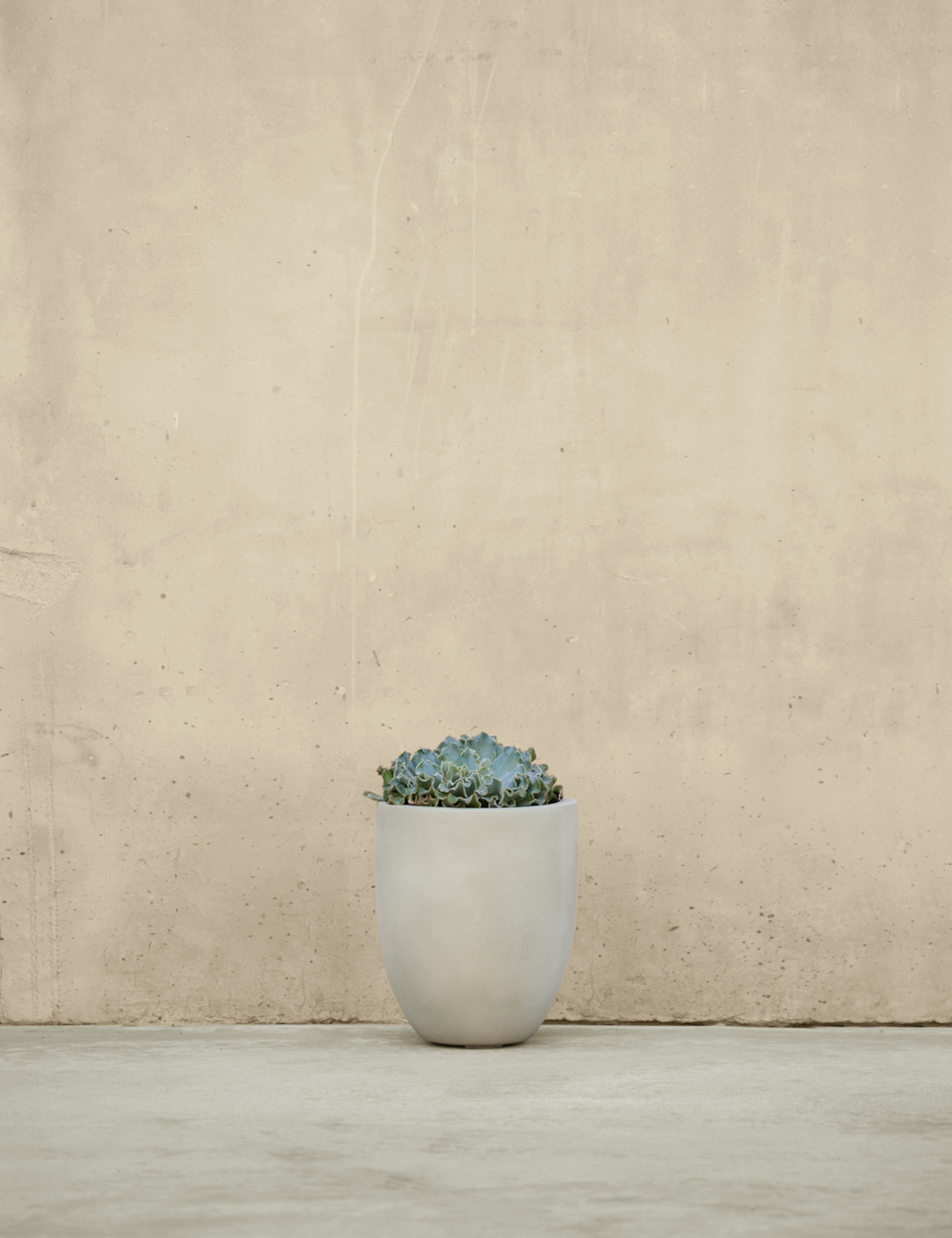 Lulu and Georgia - Bradford Planters by Campania International