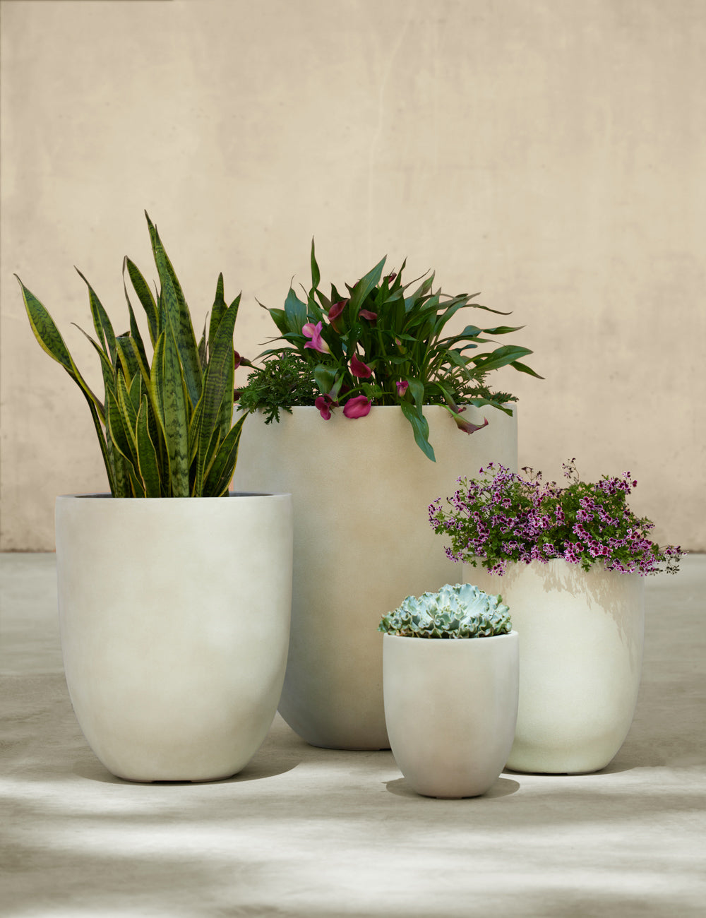 Lulu and Georgia - Bradford Planters by Campania International
