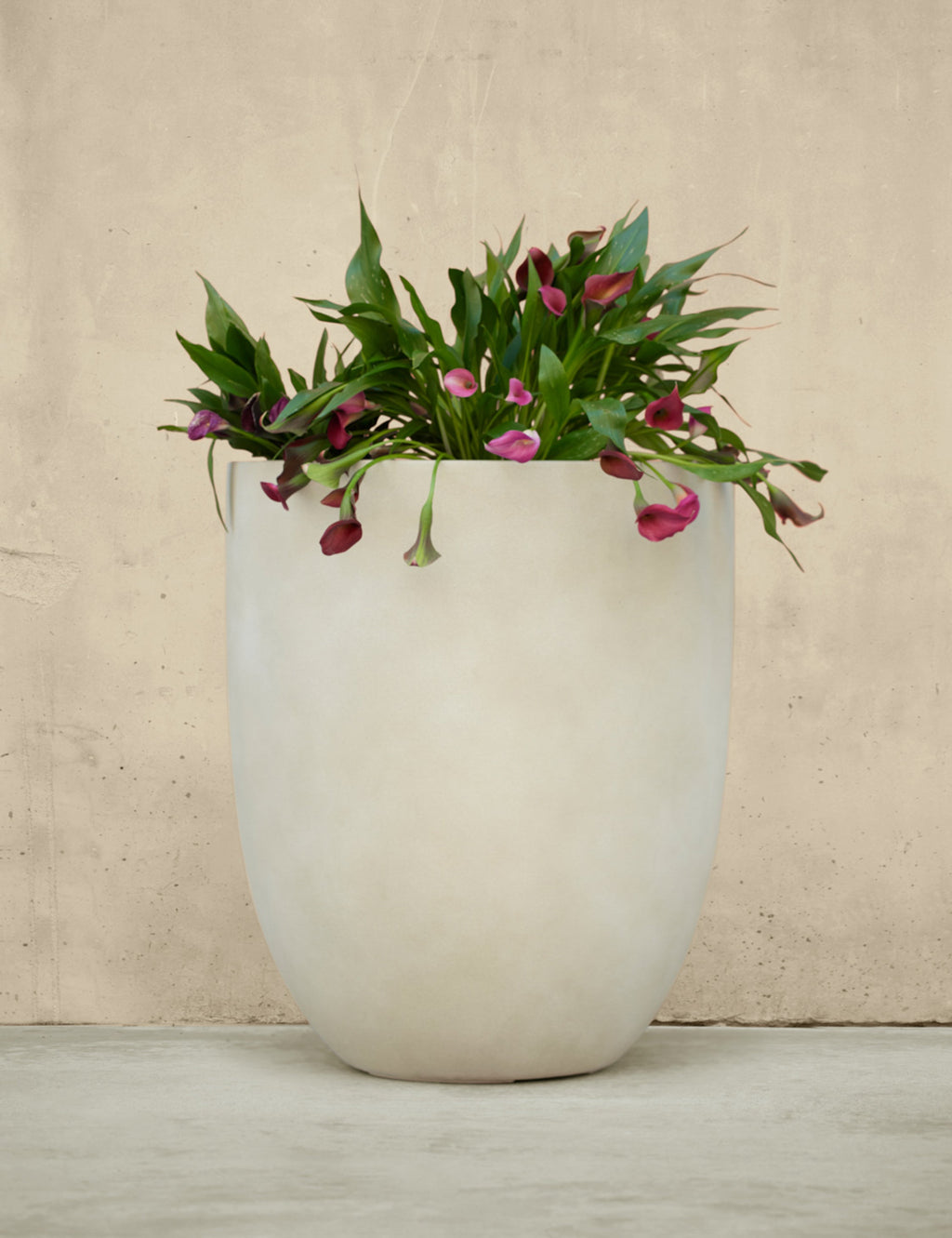 Lulu and Georgia - Bradford Planters by Campania International