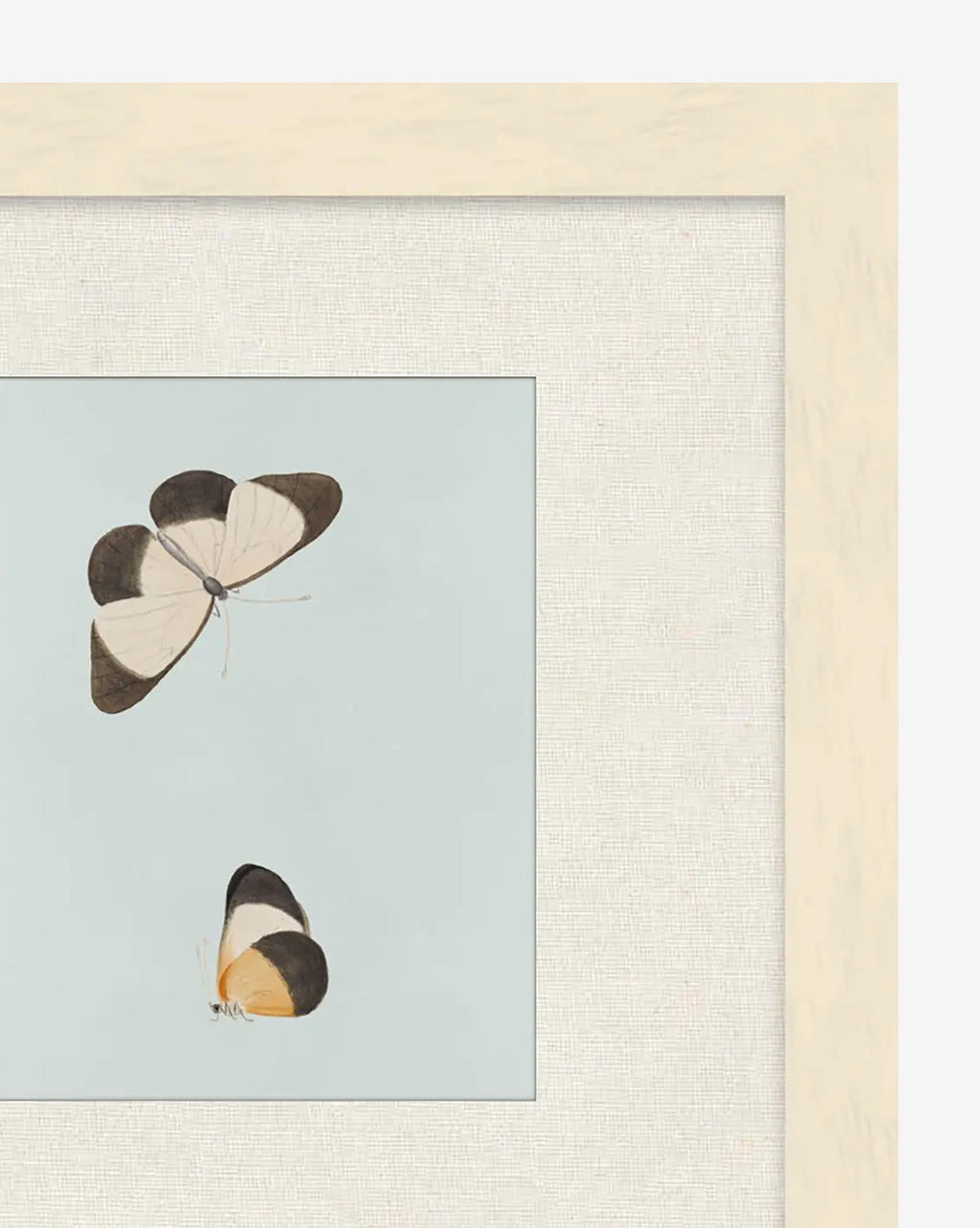 McGee & Co - Butterflies Study I