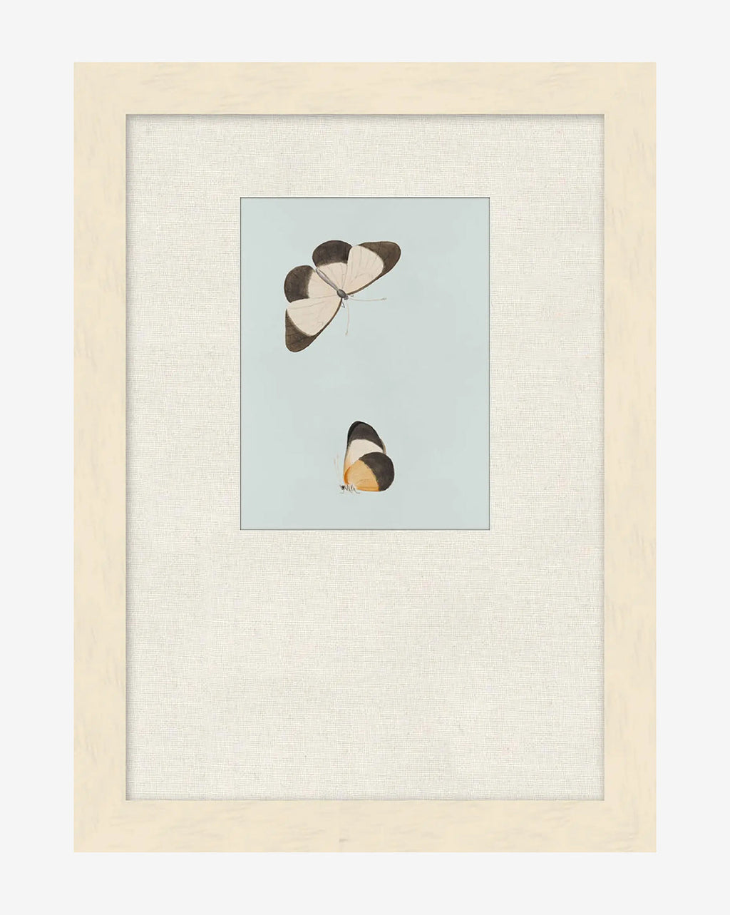 McGee & Co - Butterflies Study I