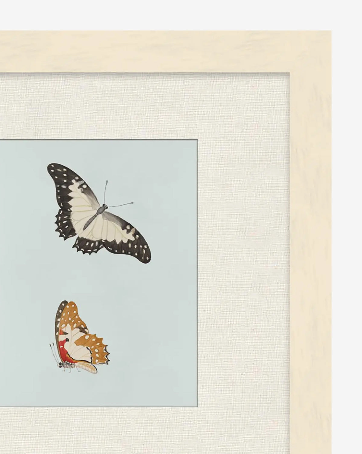 McGee & Co - Butterflies Study II