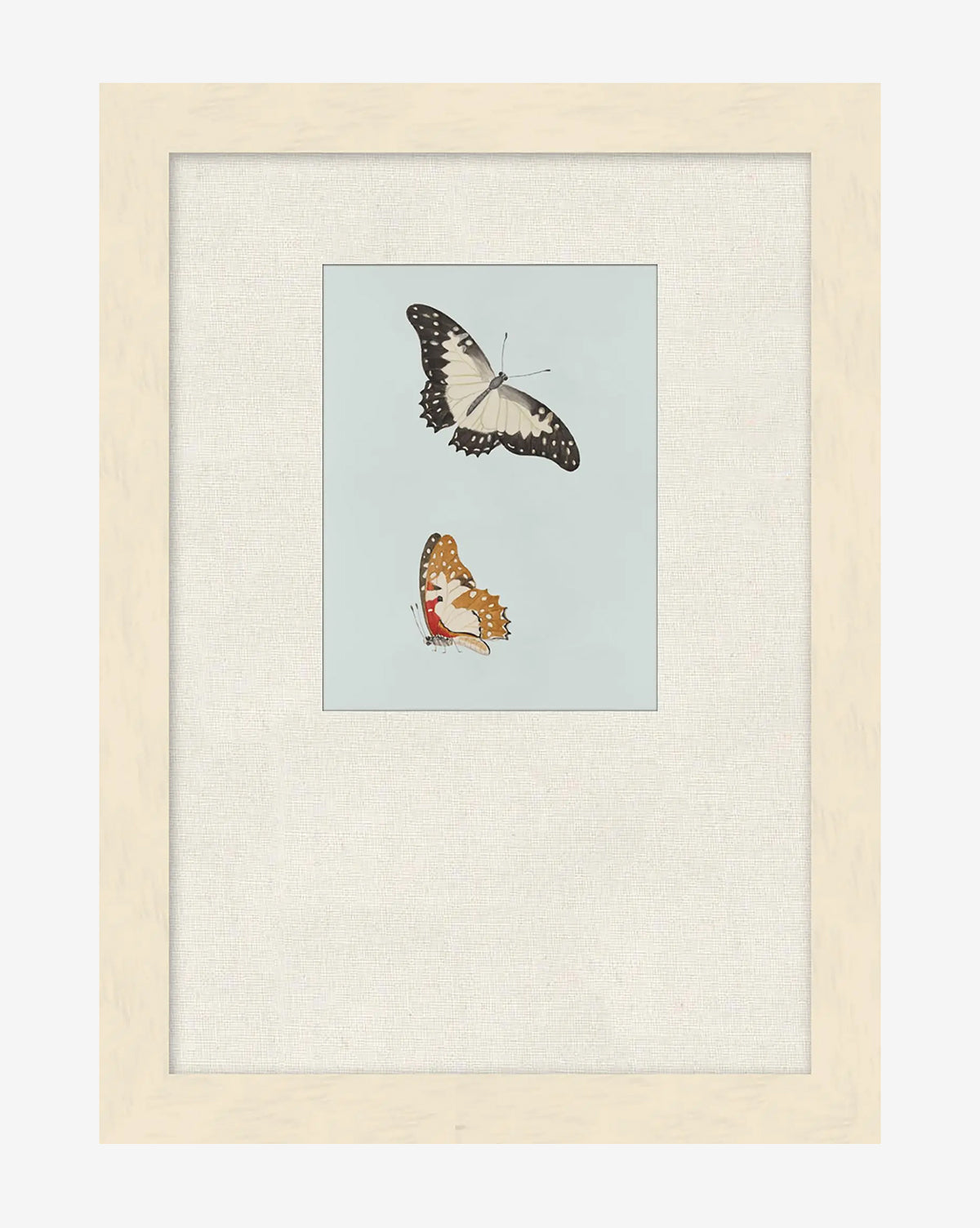 McGee & Co - Butterflies Study II