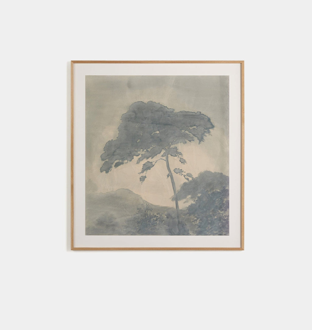 Amber Interiors - Canopy by Chelsea Fly Framed Print
