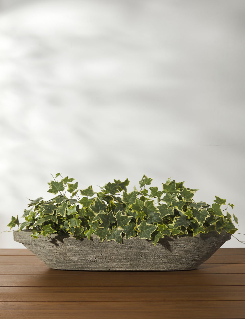 Lulu and Georgia - Cast Stone Tabletop Planters by Campania International