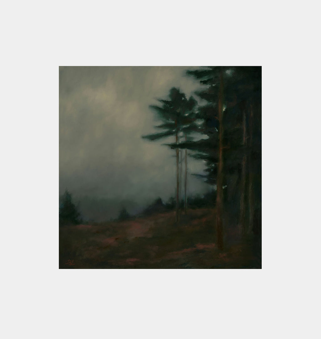 Amber Interiors - Charles' Woods Unframed Print