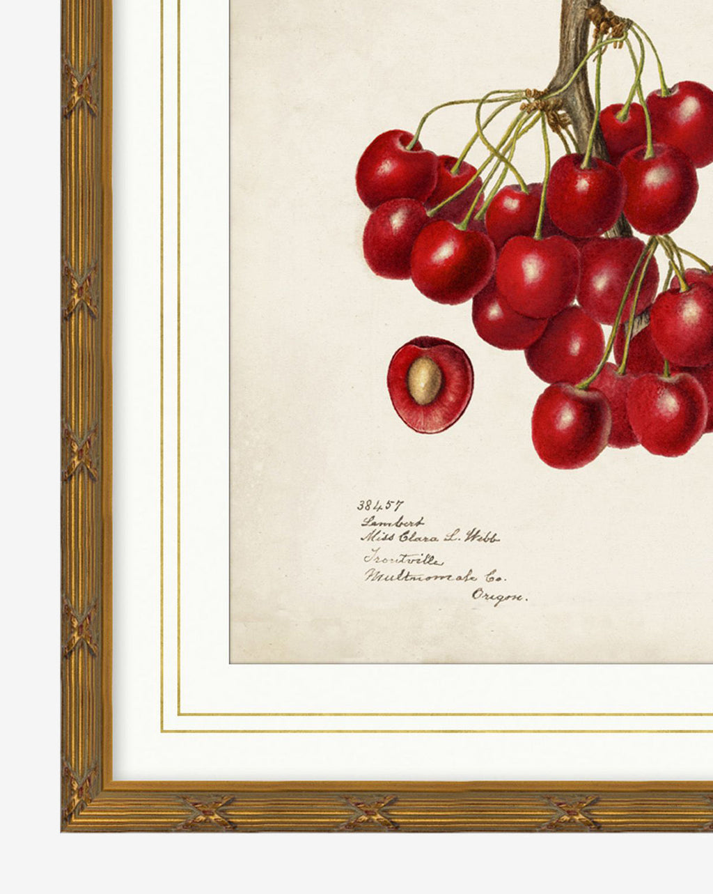 McGee & Co - Cherry Study