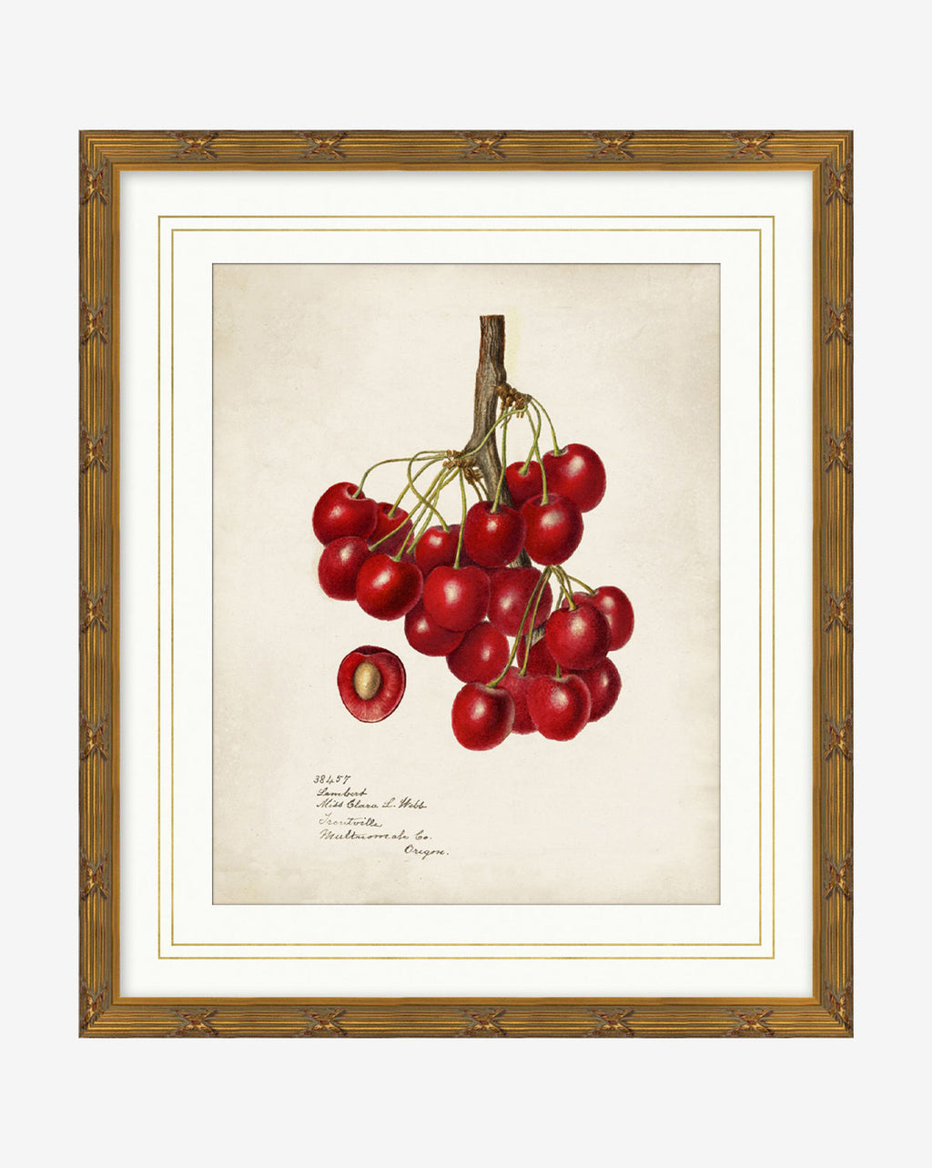 McGee & Co - Cherry Study