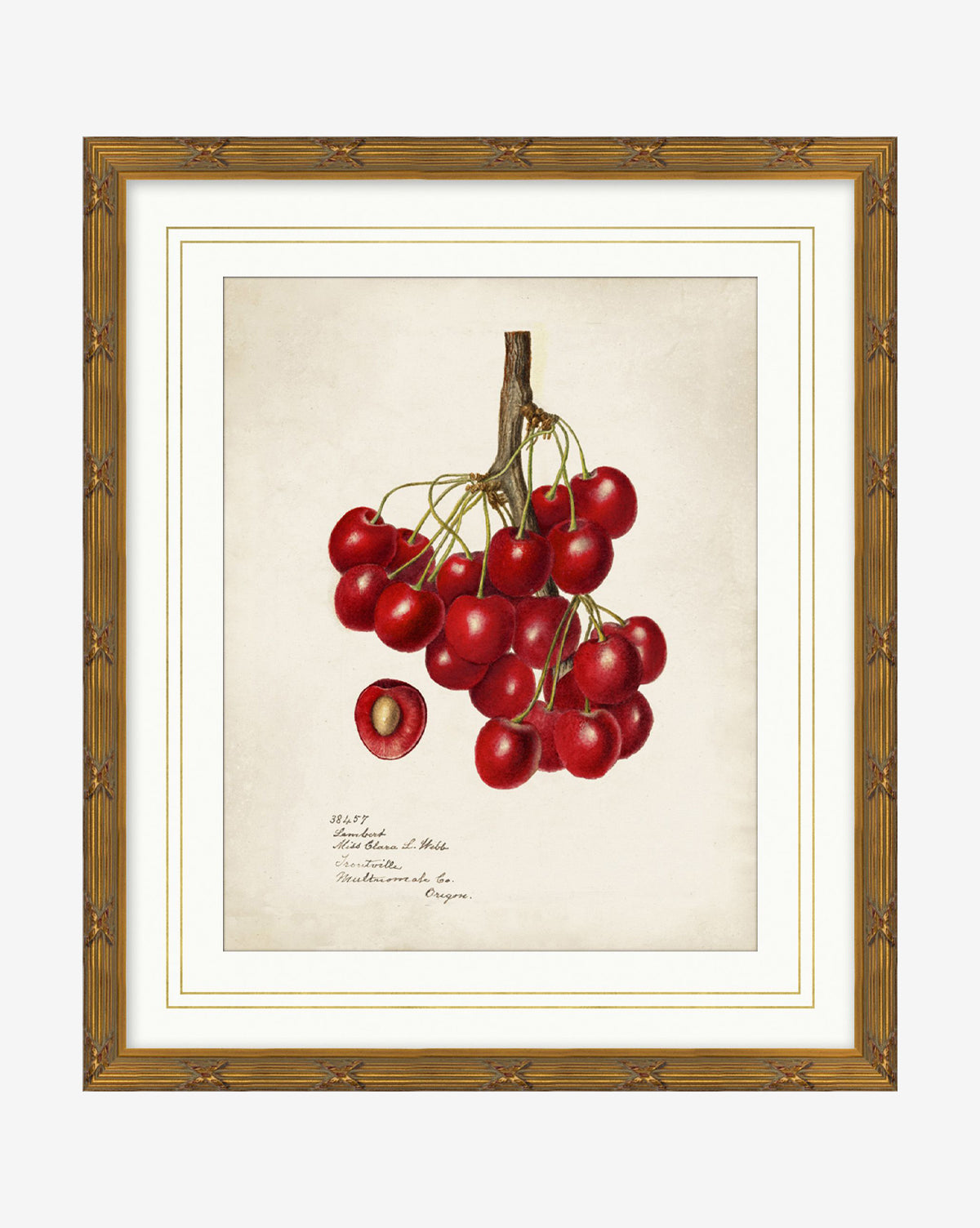 McGee & Co - Cherry Study