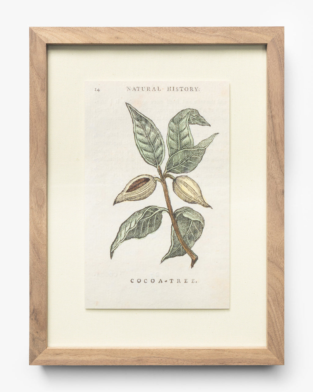 McGee & Co - Cocoa Tree