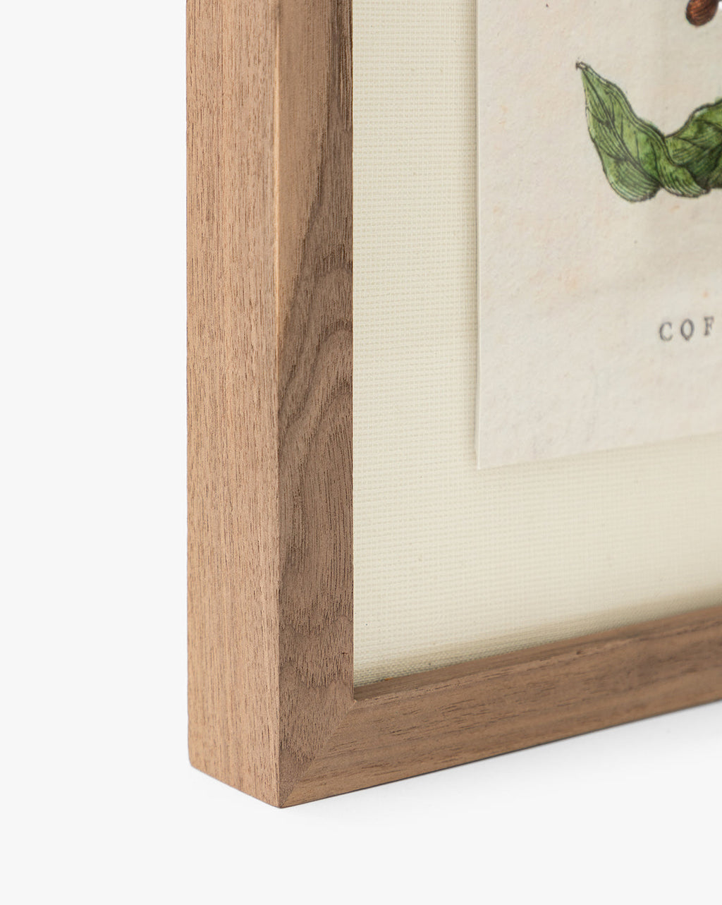 McGee & Co - Coffee Shrub