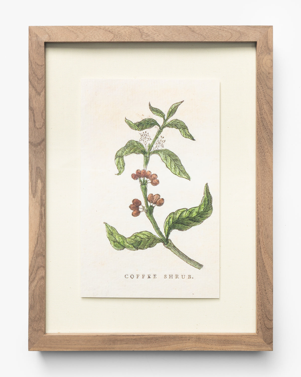 McGee & Co - Coffee Shrub