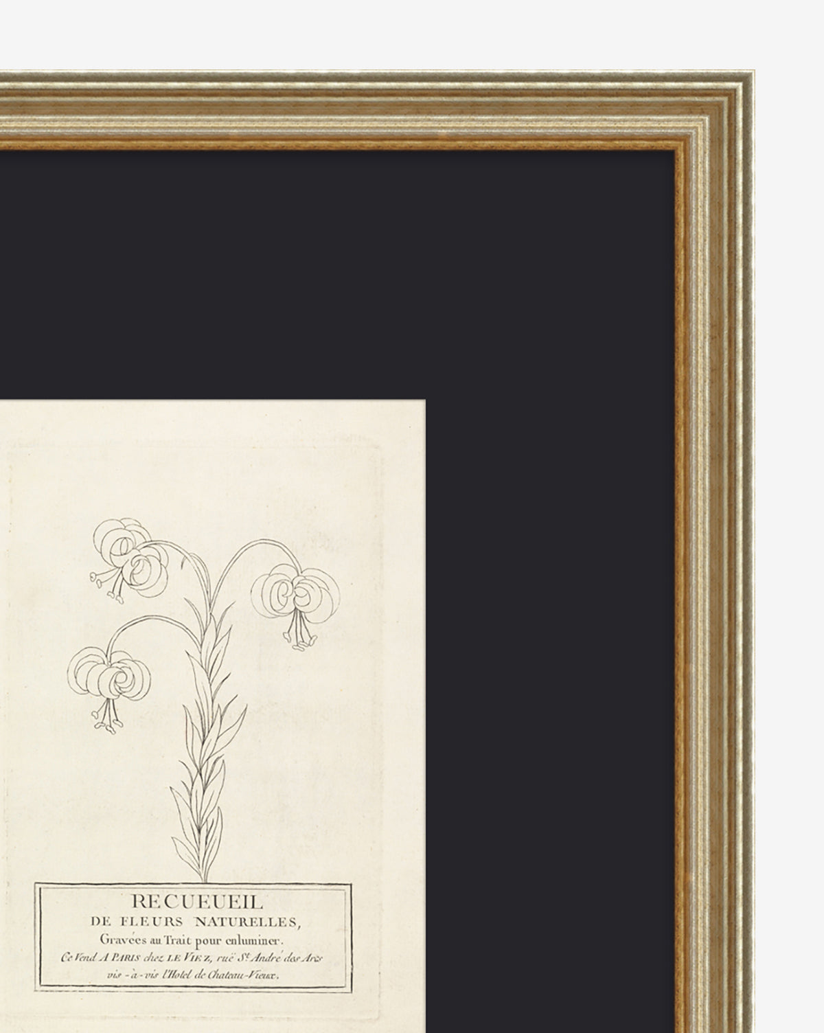 McGee & Co - Collection Of French Flowers