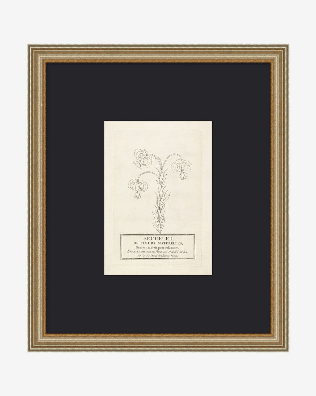 McGee & Co - Collection Of French Flowers
