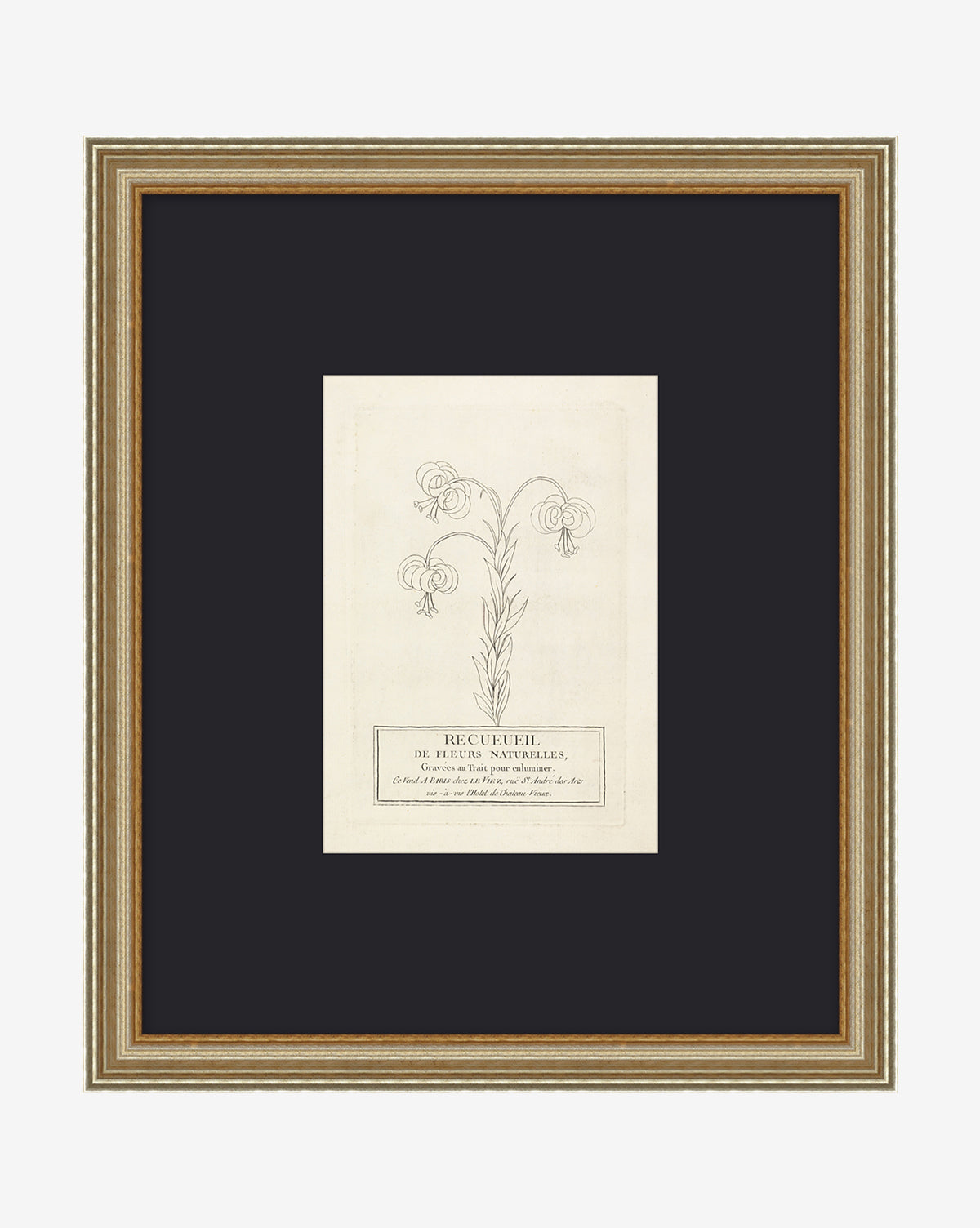 McGee & Co - Collection Of French Flowers