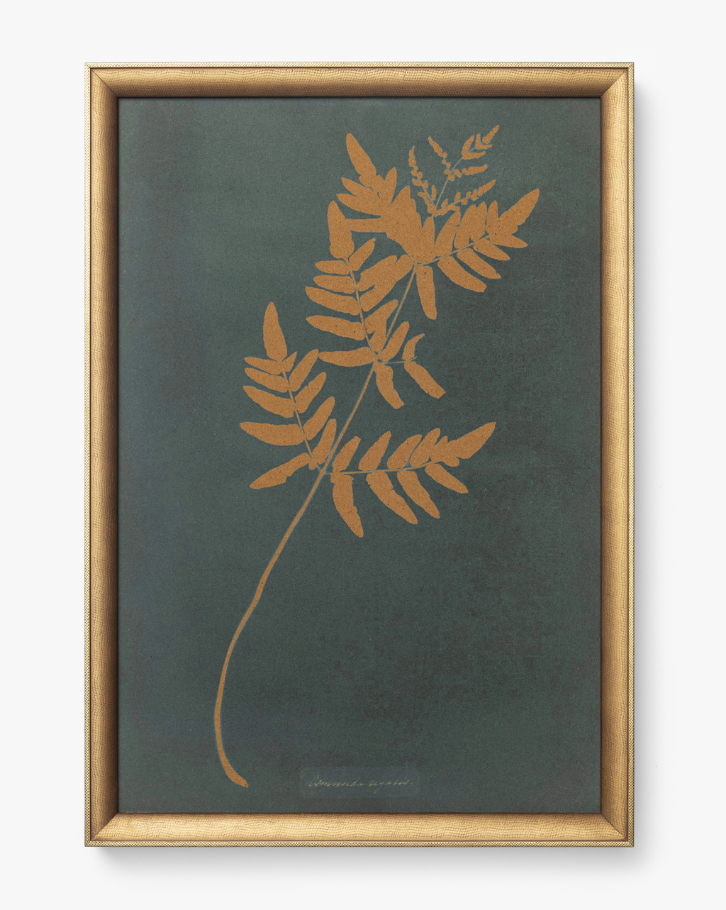 McGee & Co - Copper Botanical 1