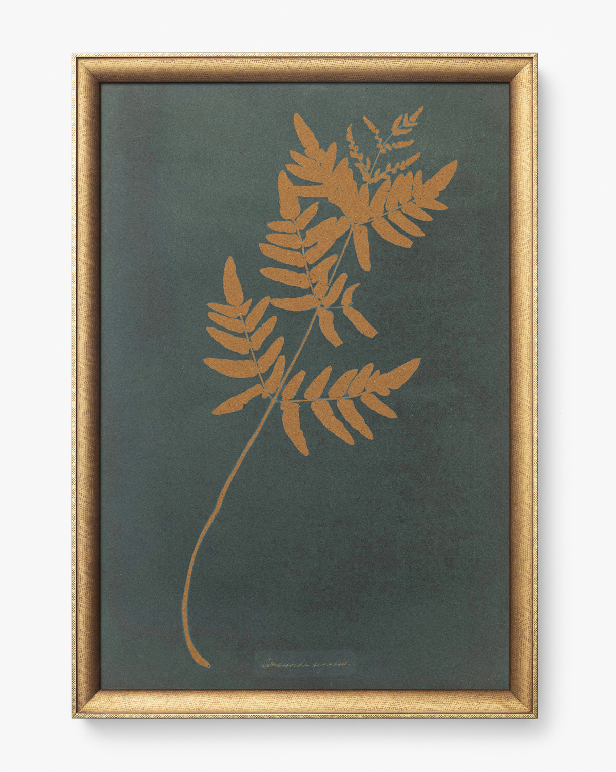 McGee & Co - Copper Botanical 1