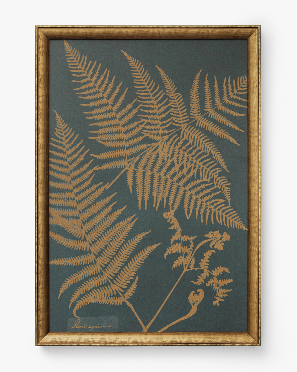 McGee & Co - Copper Botanical 2