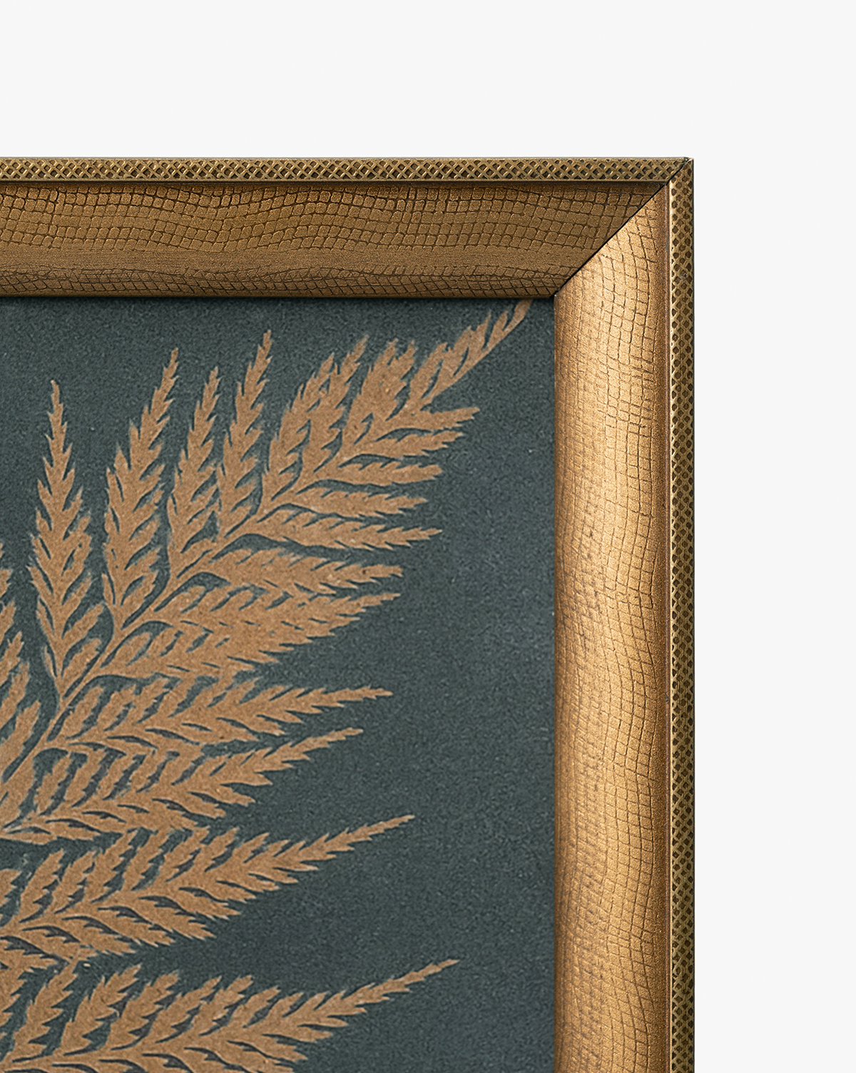 McGee & Co - Copper Botanical 3