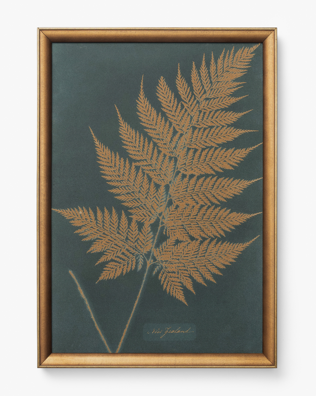 McGee & Co - Copper Botanical 3