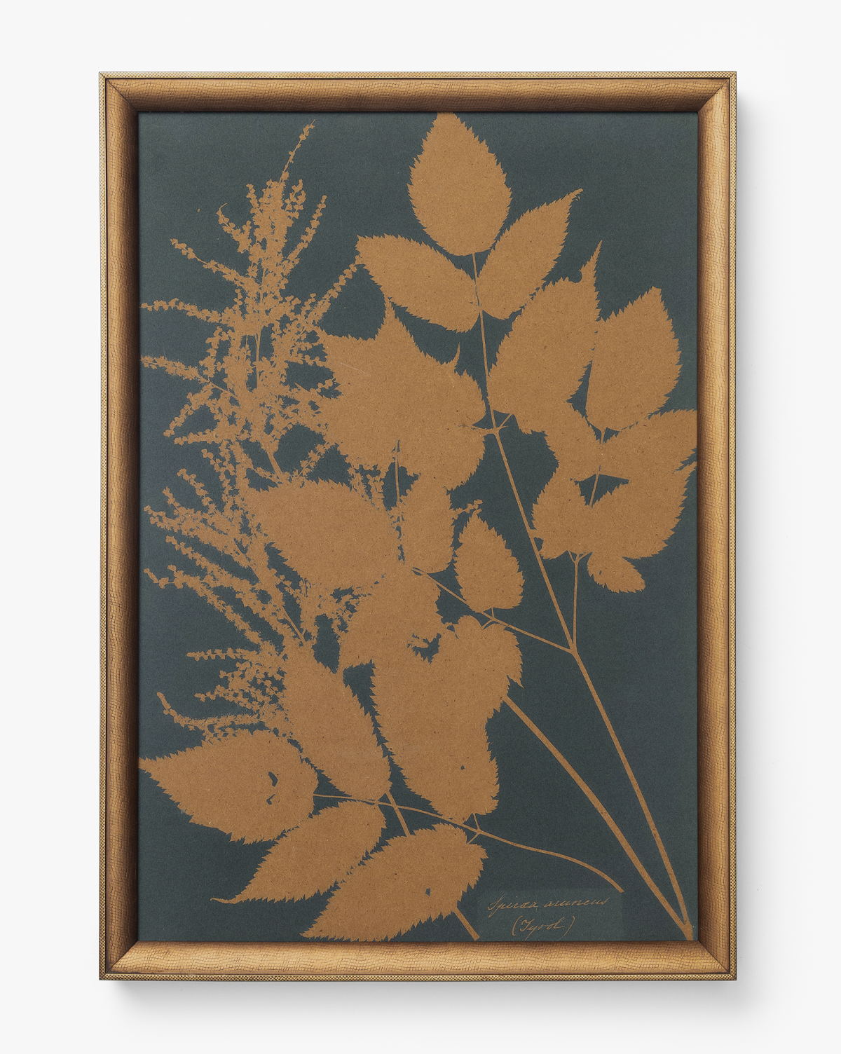 McGee & Co - Copper Botanical 4