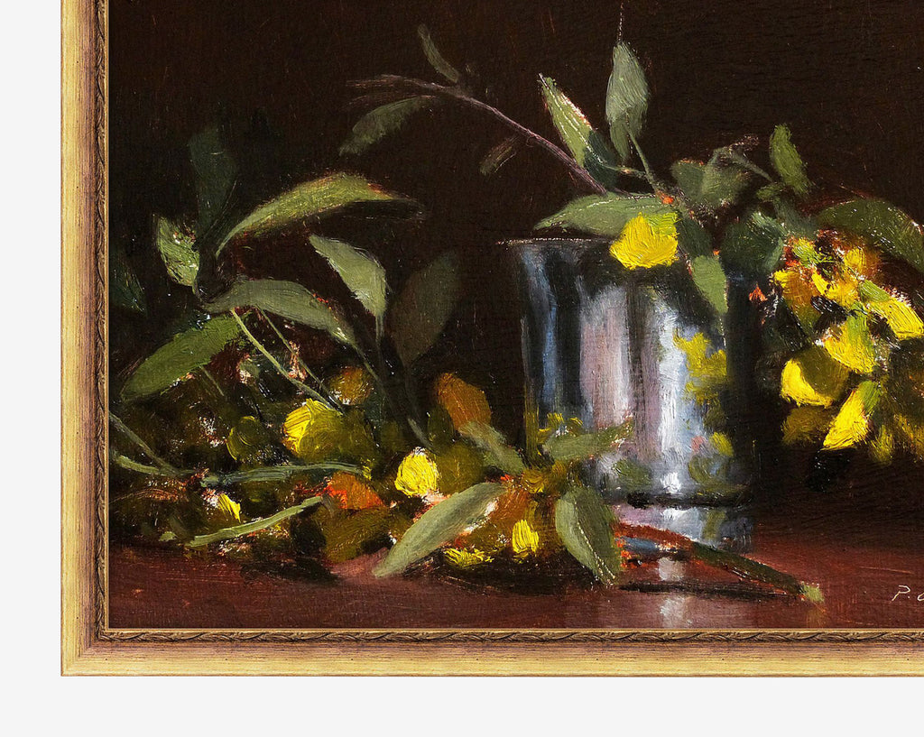 McGee & Co - Cytise Blossoms