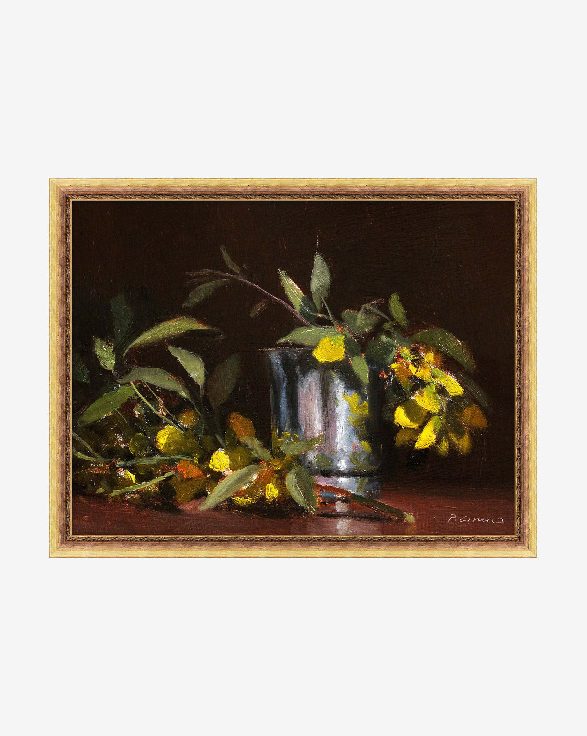 McGee & Co - Cytise Blossoms