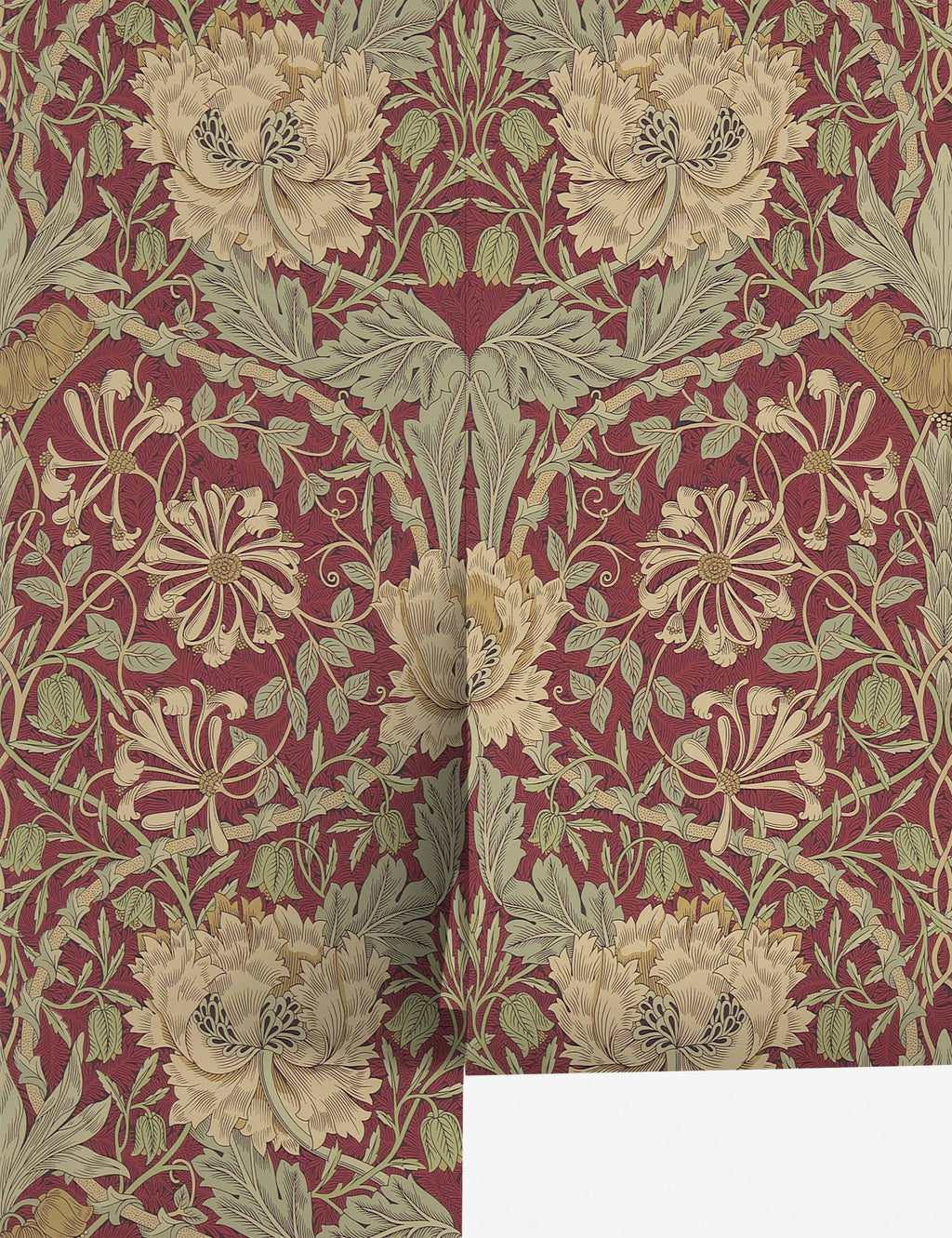 Lulu and Georgia - Pure Honeysuckle & Tulip Wallpaper by Morris & Co.