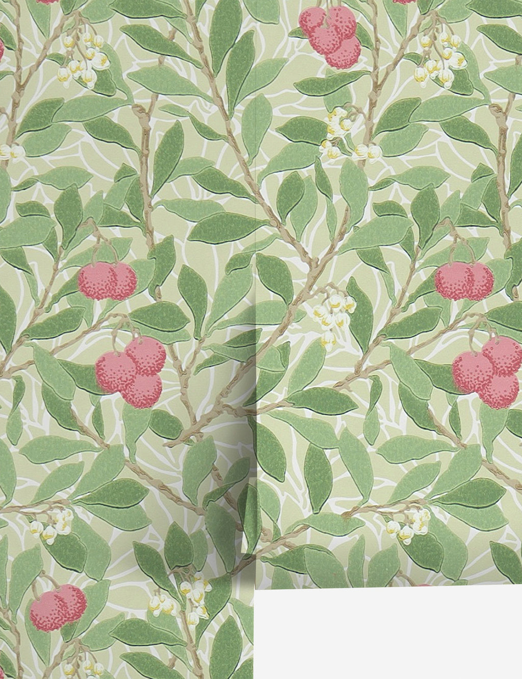 Lulu and Georgia - Arbutus Wallpaper by Morris & Co.