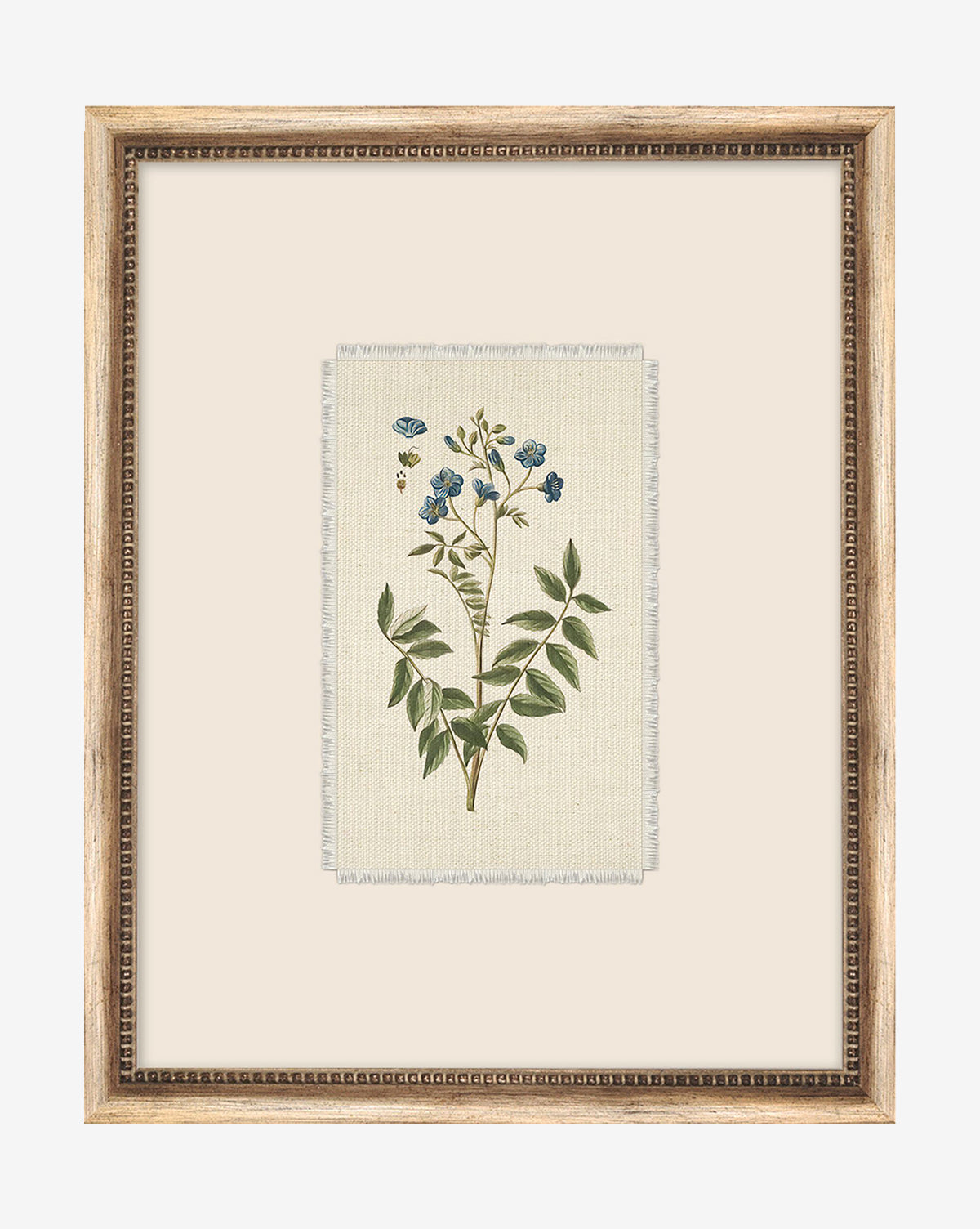 McGee & Co - Petite Floral IV