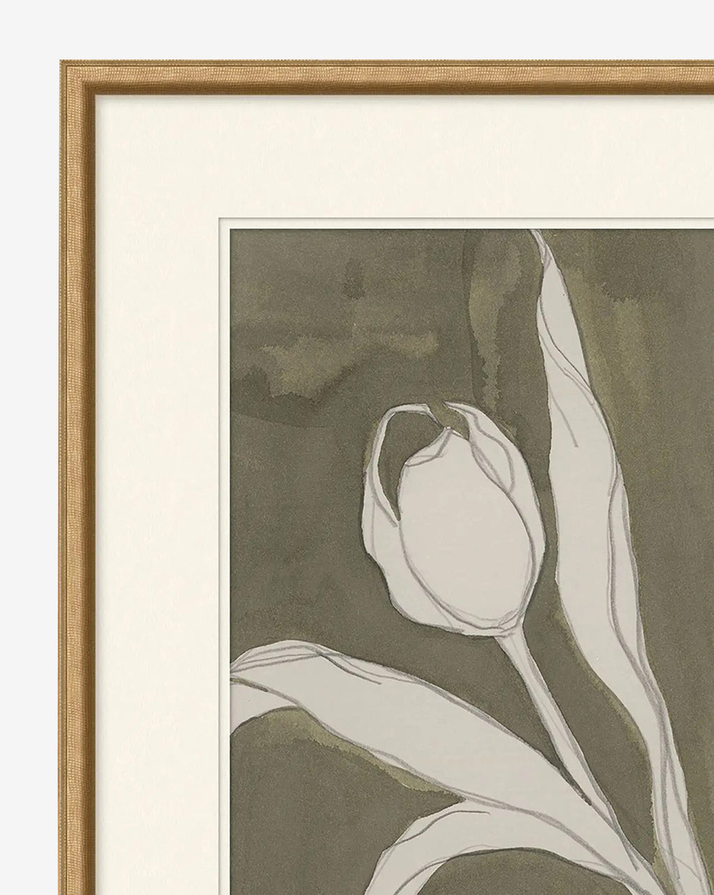McGee & Co - Delicate Tulip I by Rebekah Webb