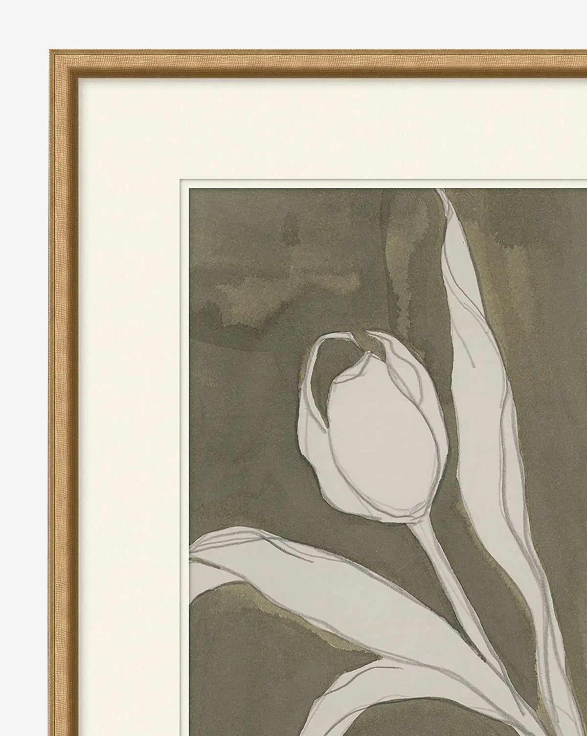 McGee & Co - Delicate Tulip I by Rebekah Webb