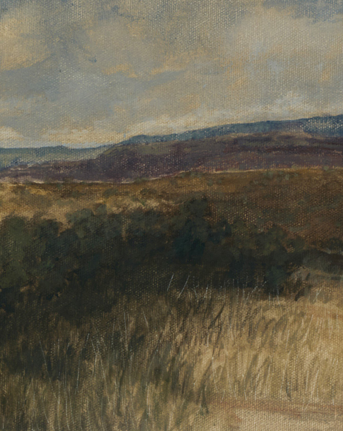 McGee & Co - Desert Hues I by Aileen Fitzgerald