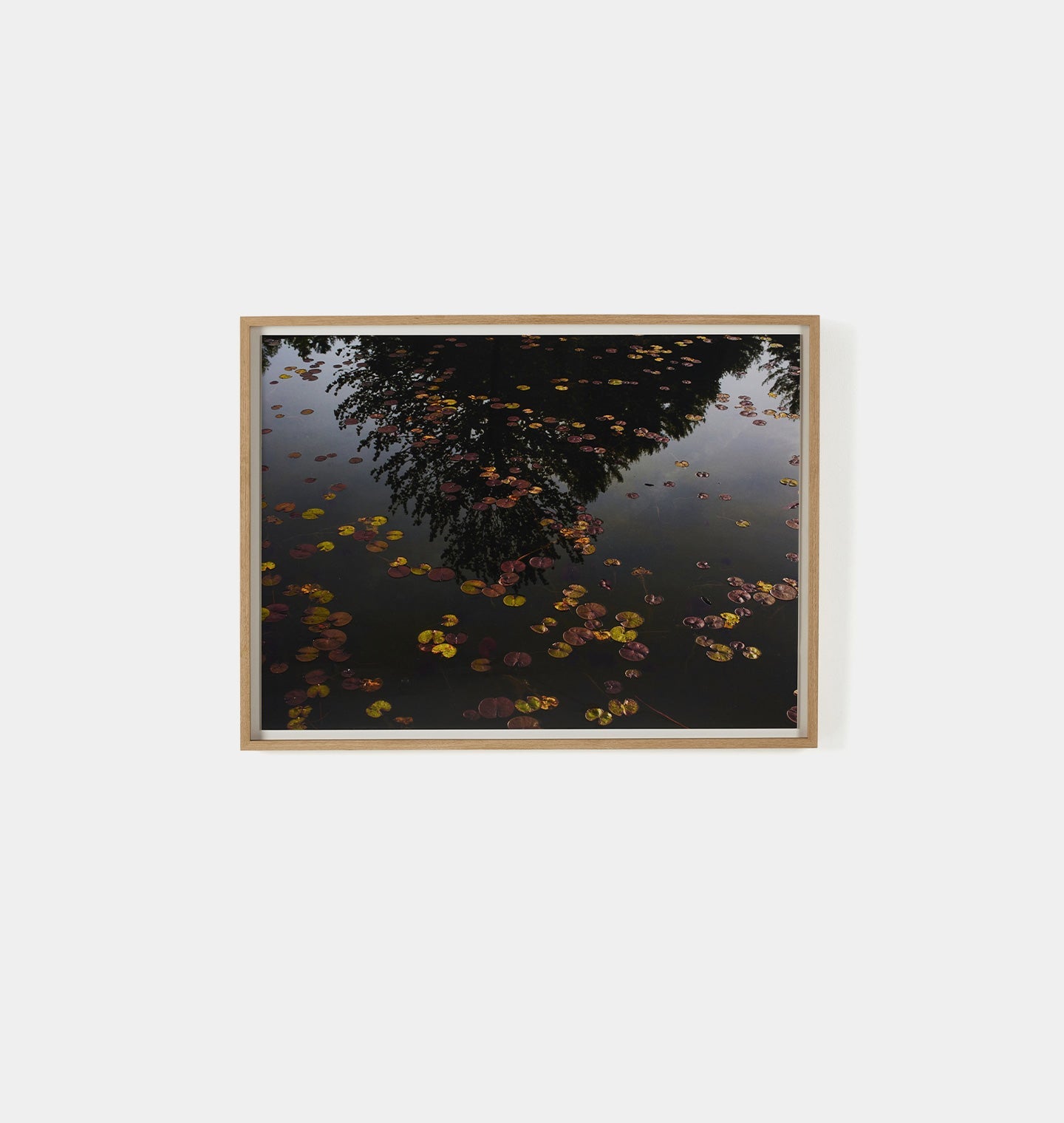 Amber Interiors - Echo by Shade Degges Framed Print