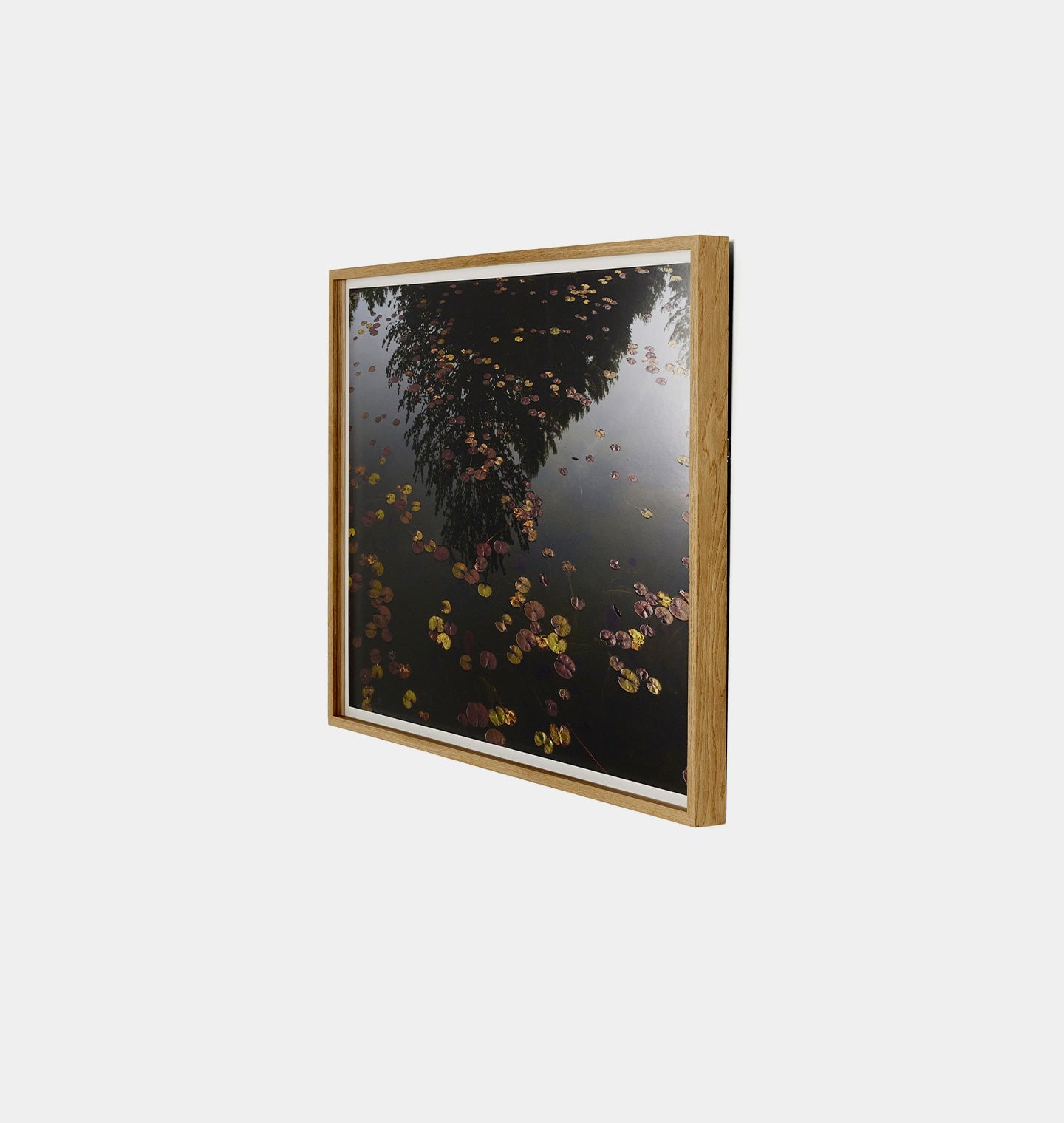 Amber Interiors - Echo by Shade Degges Framed Print