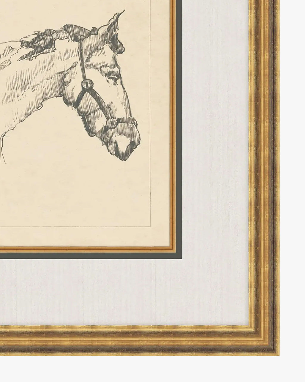 McGee & Co - Equine Lines 1