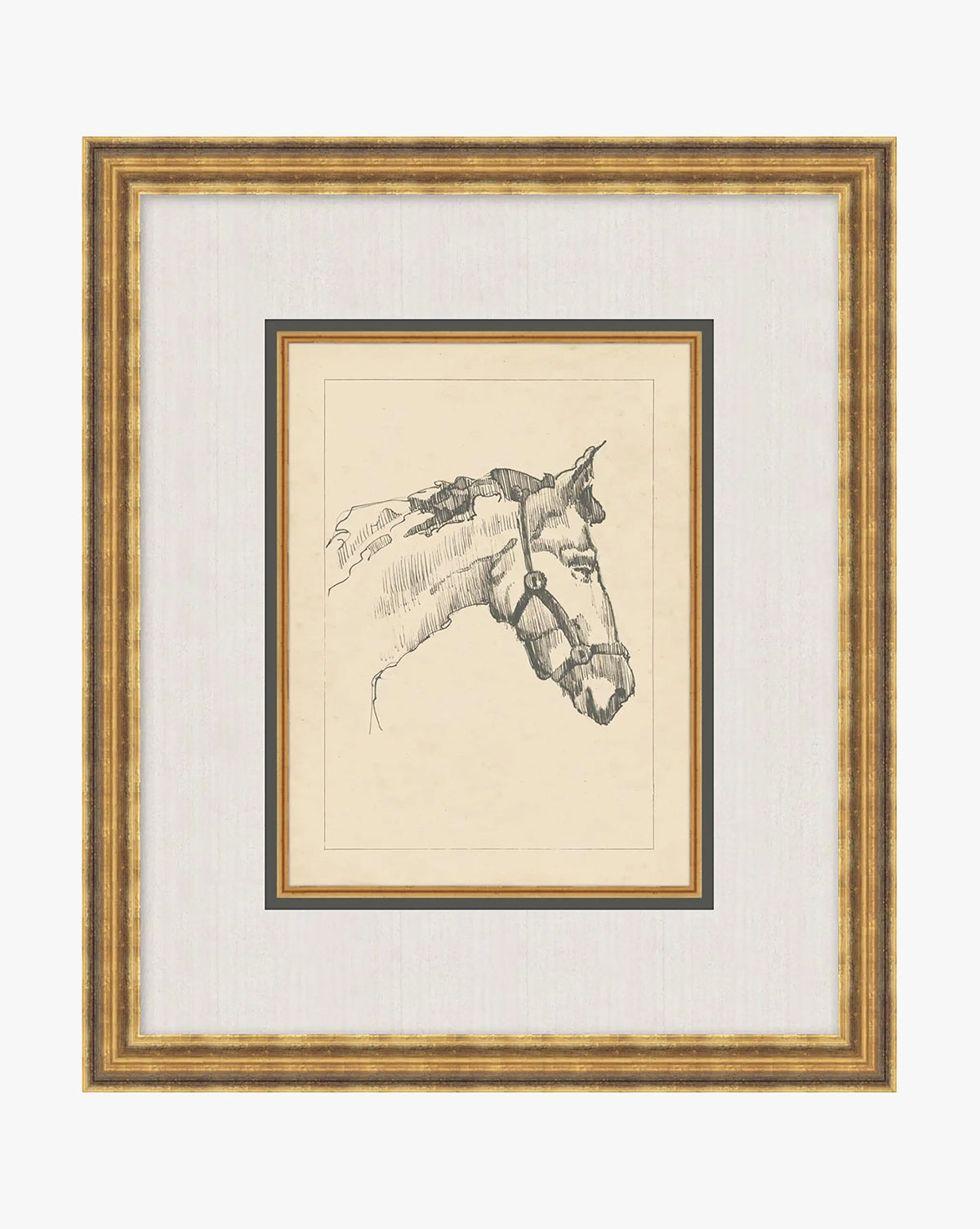 McGee & Co - Equine Lines 1