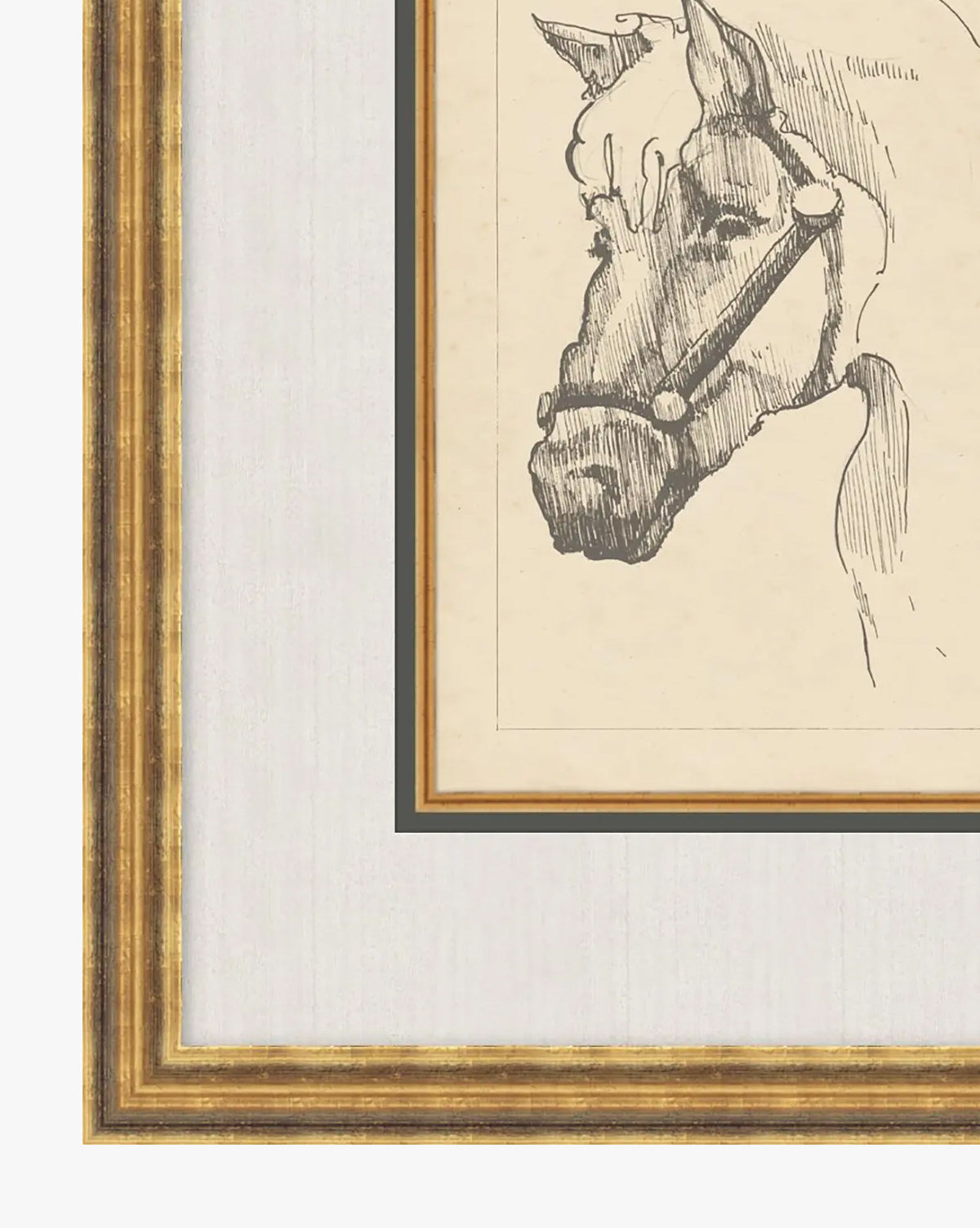 McGee & Co - Equine Lines 2