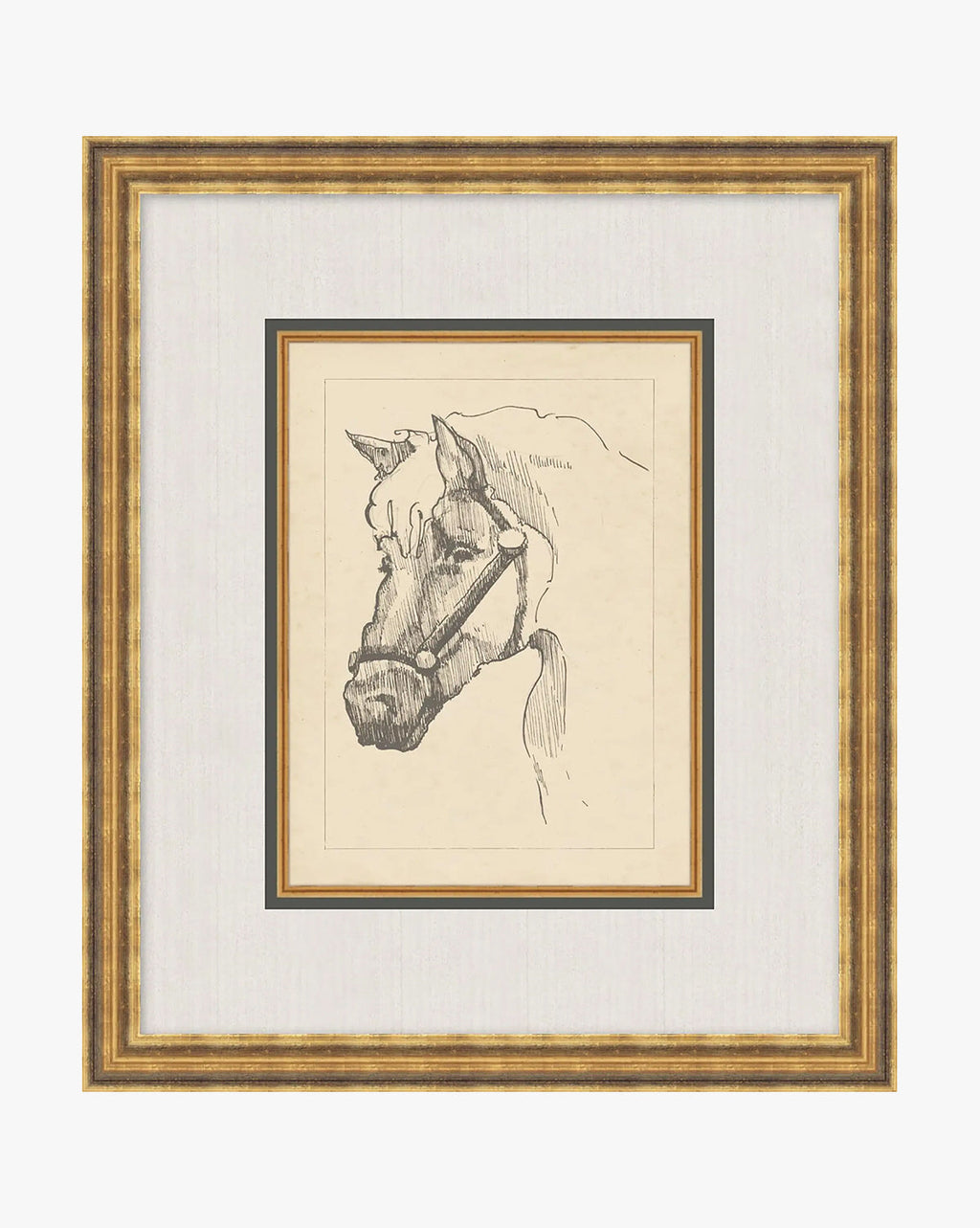 McGee & Co - Equine Lines 2