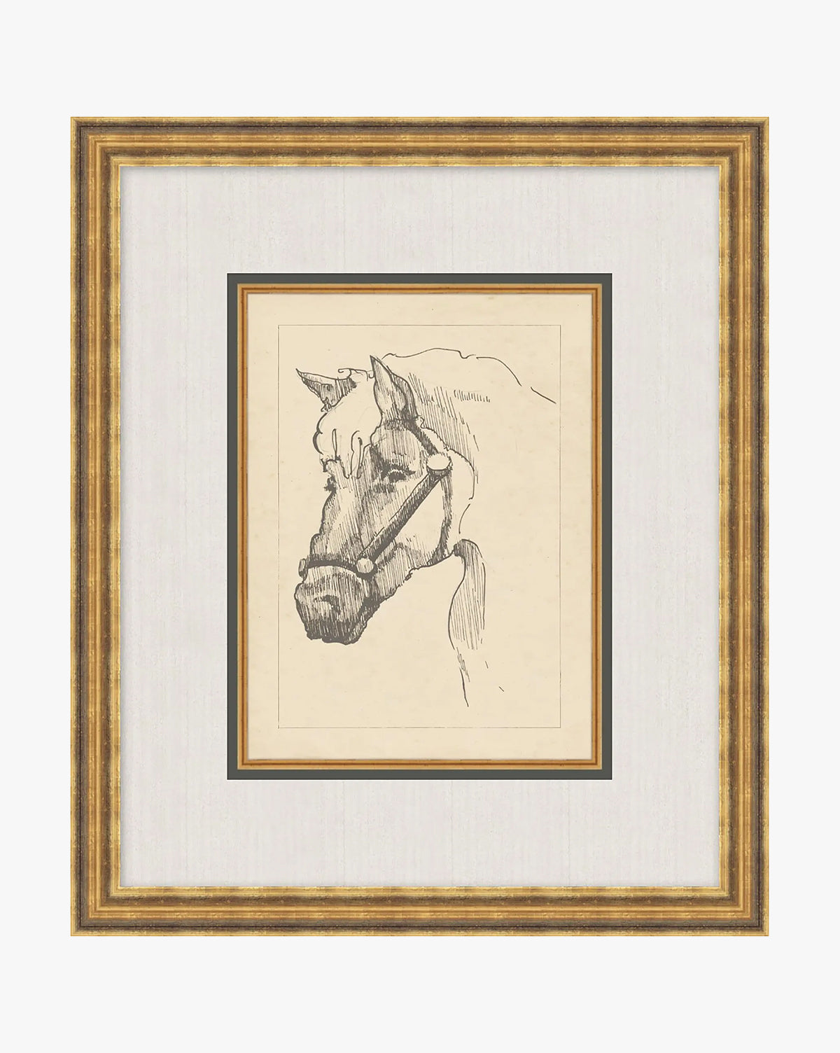 McGee & Co - Equine Lines 2